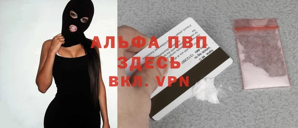 сатива Алексеевка