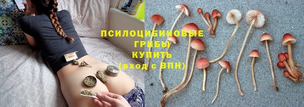 сатива Алексеевка