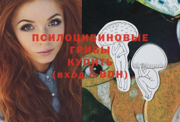 спайс Алексин