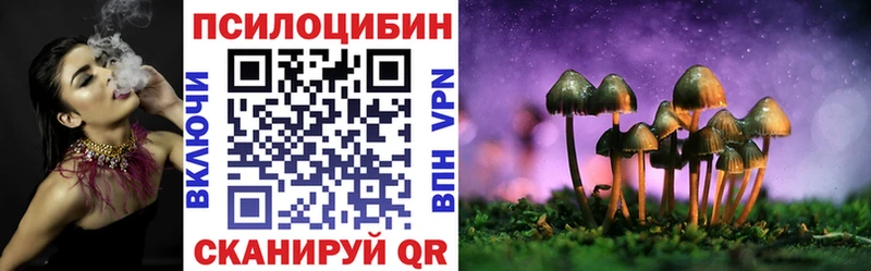 Галлюциногенные грибы Psilocybine cubensis  как найти   Райчихинск 